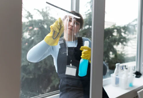 Nettoyage de vitres intérieures et extérieures à Pointel